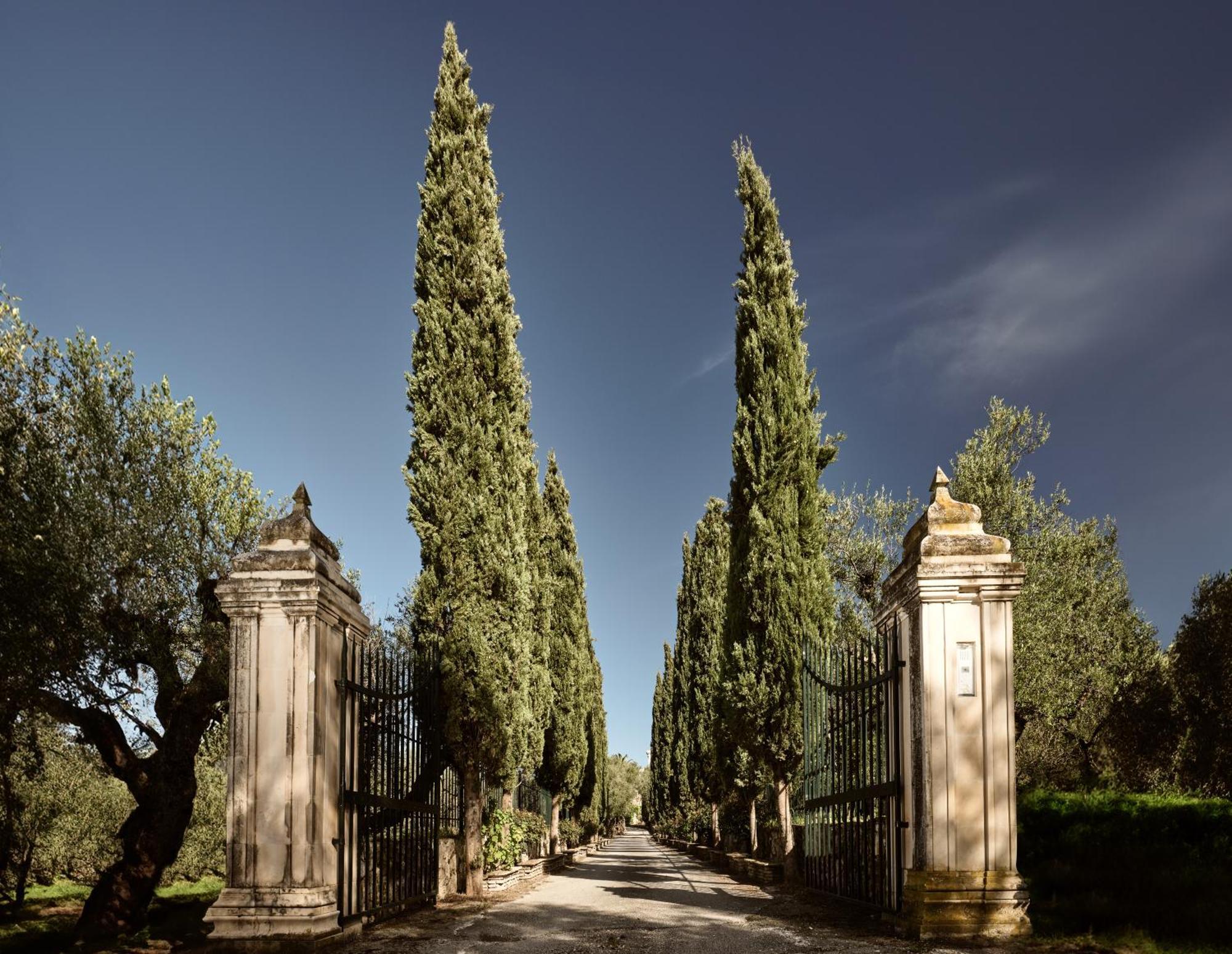 Almeira 4Acre Estate, For Unparalleled Seclusion, By Thinkvilla 扎金索斯镇 外观 照片