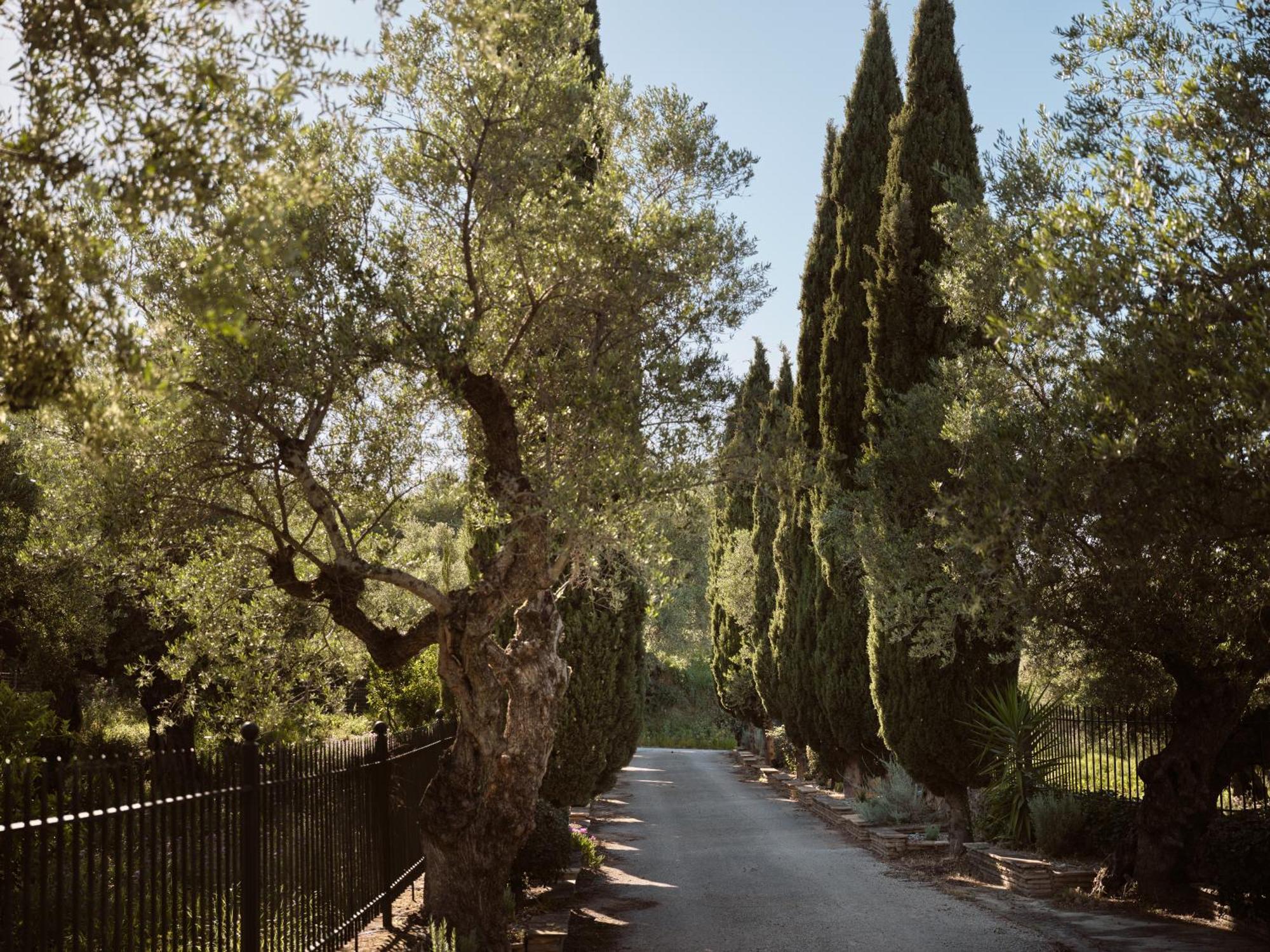 Almeira 4Acre Estate, For Unparalleled Seclusion, By Thinkvilla 扎金索斯镇 外观 照片